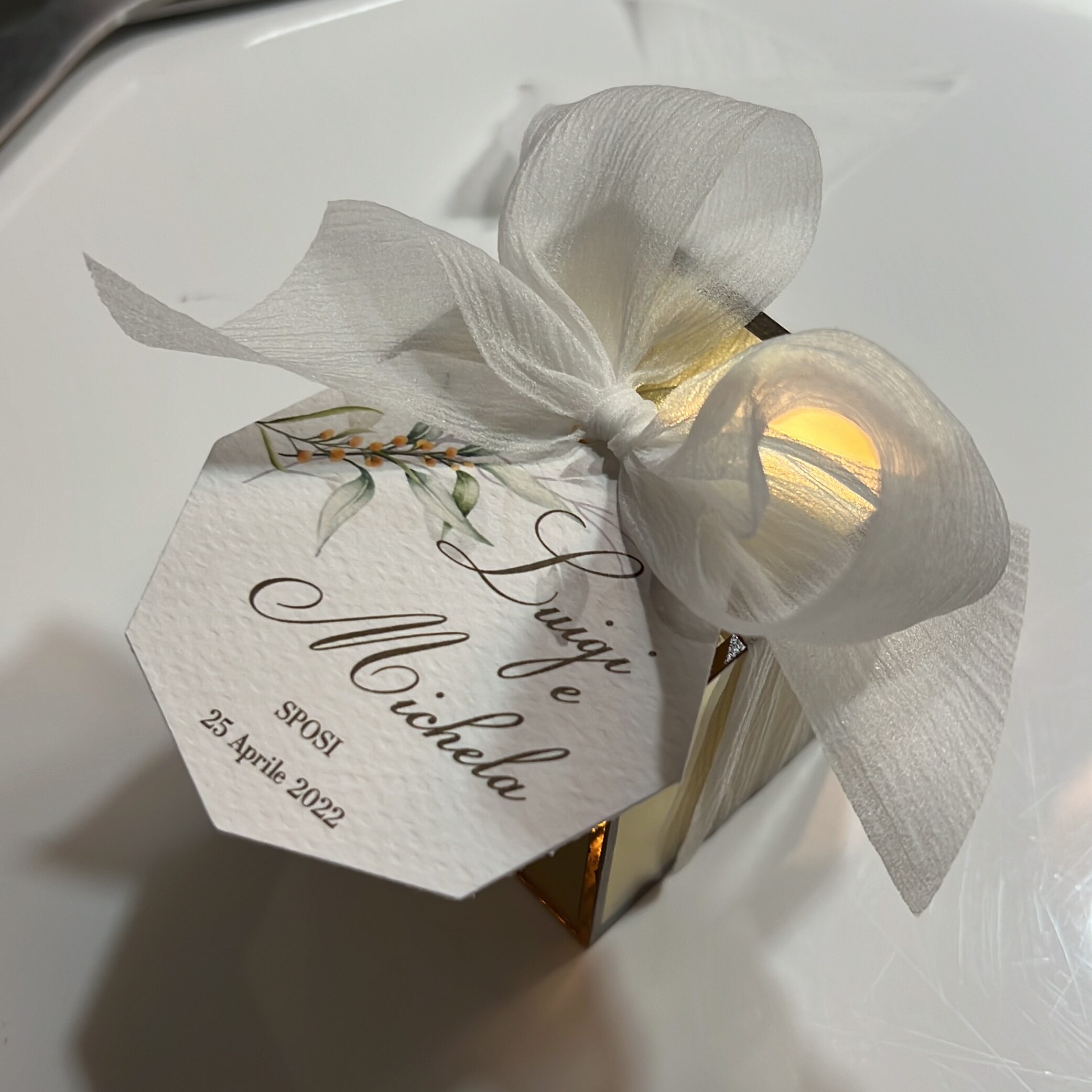 7005B894 FCBA 4429 B44B D86C02EB5B0E cr rotated 3